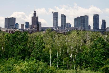 Dyskusje na temat lasów społecznych wokół wielkich miast dobiegły końca