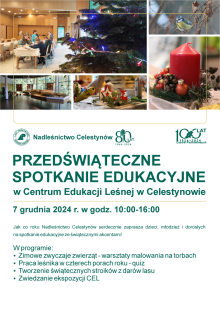 PRZEDŚWIĄTECZNE SPOTKANIE EDUKACYJNE W CEL