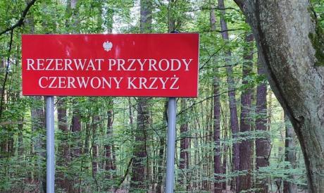 Rezerwaty przyrody na Mazowszu będą większe